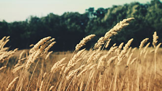 网页攻击器教程