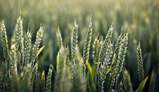 在线DDOS攻击平台